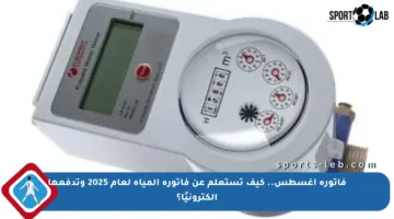 فاتورة أغسطس.. كيف تستعلم عن فاتورة المياه لعام 2025 وتدفعها إلكترونيًا؟